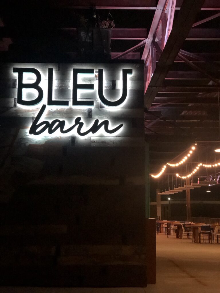 Bleu Barn Light